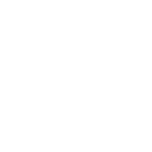 pdf (1)